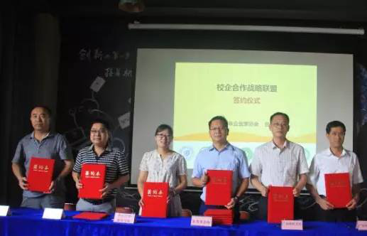 广东人啊人网络与东莞青企协达“人才智库”成战略联盟