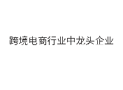 跨境电商行业中龙头企业之一，运用T12人才测评系统，助力企业人才战略目标实现